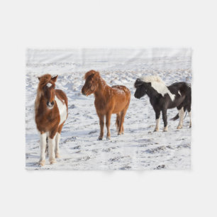 IJslands paard met typische winterjas Fleece Deken