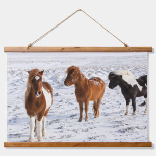 IJslands paard met typische winterjas Hangend Wandkleed