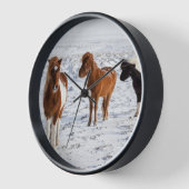 IJslands paard met typische winterkat (Hoek)