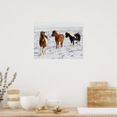 IJslands paard met typische winterkat Poster (Keuken)