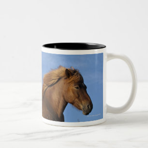IJslands paard rust en hemel Tweekleurige Koffiemok