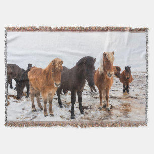 IJslands paard tijdens de winter op IJsland Deken