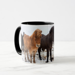 IJslands Paard Tijdens Winter IJsland Mok