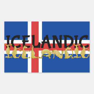 IJslands paard Vlag van IJsland Rechthoekige Sticker