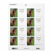 IJslands Paardenboeklabel Etiket (Full Sheet)