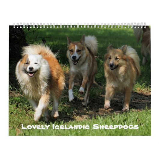 IJslands Sheepdog20151001 Kalender (Hoes)