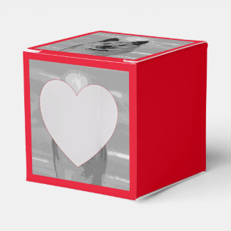 IJslands Sheepdog20151203 Bedankdoosjes