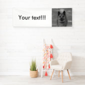 IJslands Sheepdog20151203 Spandoek (Insitu)