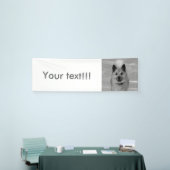 IJslands Sheepdog20151203 Spandoek (Beurs)