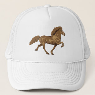  IJslands van 1930 Trucker Pet