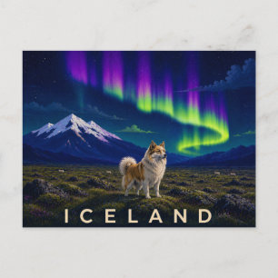 IJslandse Herdershond onder het Noorderlicht Ico Briefkaart