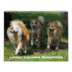 IJslandse hond 001 Kalender