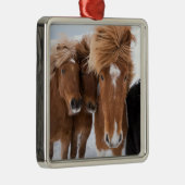 IJslandse horsmakreel, IJsland Metalen Ornament (Rechts)