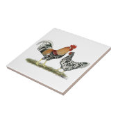 IJslandse kippen Tegeltje (Zijkant)