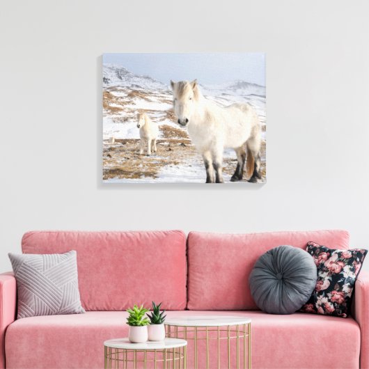 IJslandse paarden | Blonduos, IJsland Canvas Afdruk (Insitu (Woonkamer))
