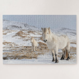 IJslandse paarden   Blonduos, IJsland Legpuzzel
