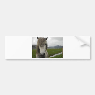 IJslandse paarden Bumpersticker