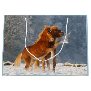 IJslandse paarden die met sneeuw spelen Groot Cadeauzakje