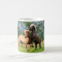 IJslandse paarden die spelen en fokken, foto _