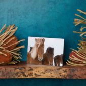 IJslandse paarden Fotoplaat (Zijkant)