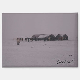 IJslandse paarden in de sneeuwmagneet Magneet