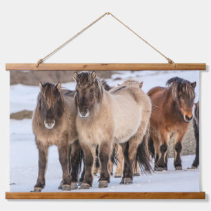 IJslandse paarden in de winter bij Hofn, IJsland Hangend Wandkleed