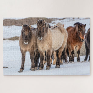IJslandse paarden in de winter bij Höfn, IJsland Legpuzzel