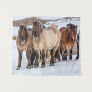 IJslandse paarden in de winter bij Höfn, IJsland Wandkleed