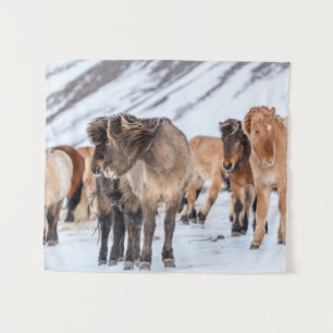 IJslandse paarden in de winterperiode nabij de Hof Wandkleed