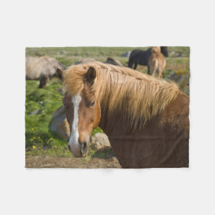 IJslandse paarden in Noordoost-IJsland Fleece Deken