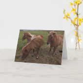 IJslandse paarden Kaart (Gele Bloem)