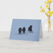 IJslandse paarden Kaart (Gele Bloem)