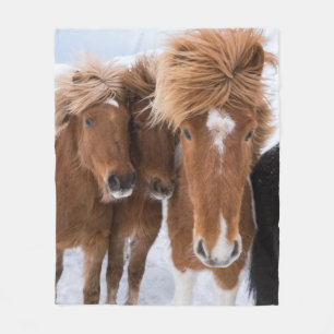 IJslandse paarden snuffelen, IJsland Fleece Deken
