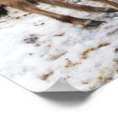 IJslandse paarden tijdens de winter in IJsland Poster (Hoek)