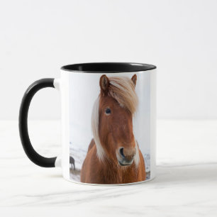 IJslandse paarden tijdens de winter Mok