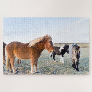 IJslandse paarden tijdens de winter op IJsland Legpuzzel