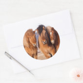 IJslandse paarden tijdens de winter Ronde Sticker (Envelop)