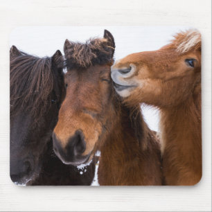 IJslandse paarden vrienden, IJsland Muismat