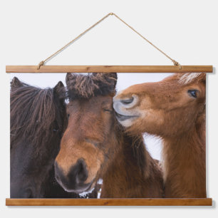 IJslandse paardenvrienden, IJsland Hangend Wandkleed