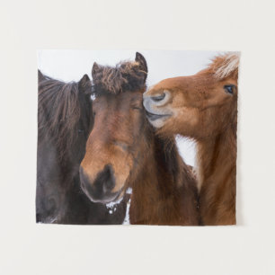 IJslandse paardenvrienden, IJsland Wandkleed