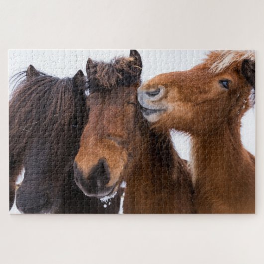 IJslandse paardenvrienden Legpuzzel (Horizontaal)