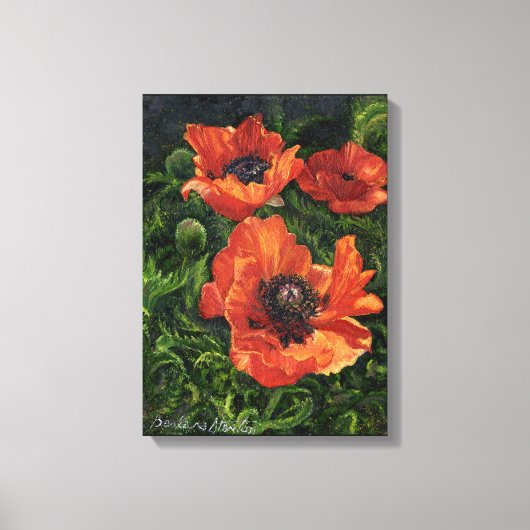 "IJslandse papaver" Canvas Afdruk (Voorkant)