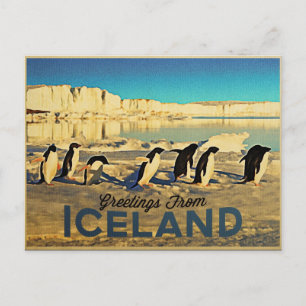 IJslandse pinguïns Briefkaart