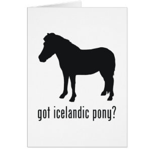 IJslandse Pony