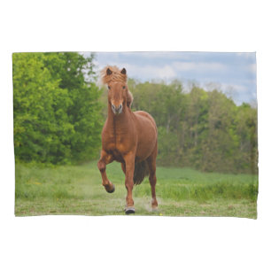 IJslandse Pony bij een Tölt Funny Photo Horse Lov Kussensloop