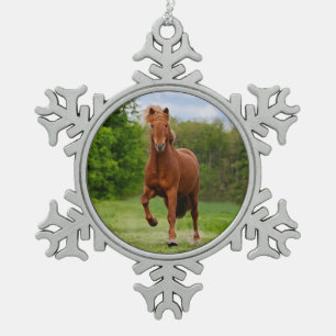 IJslandse Pony bij een Tölt Funny Photo Horse Love Tin Sneeuwvlok Ornament