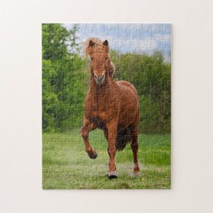 IJslandse Pony loopt Tölt Funny Photo Horse Lovers Legpuzzel