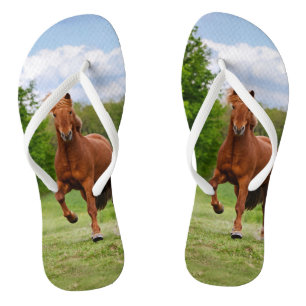 IJslandse Pony loopt Tölt Funny Photo Horse Lovers Teenslippers