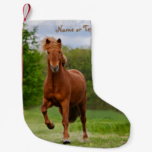 IJslandse Pony Tölt Funny Photo Horse - naam Kleine Kerstsok