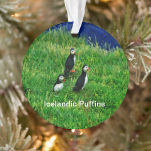 IJslandse Puffins in de zomer Ornament